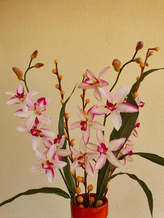דירות ולדריצ'ה Villino Maria Elena מראה חיצוני תמונה